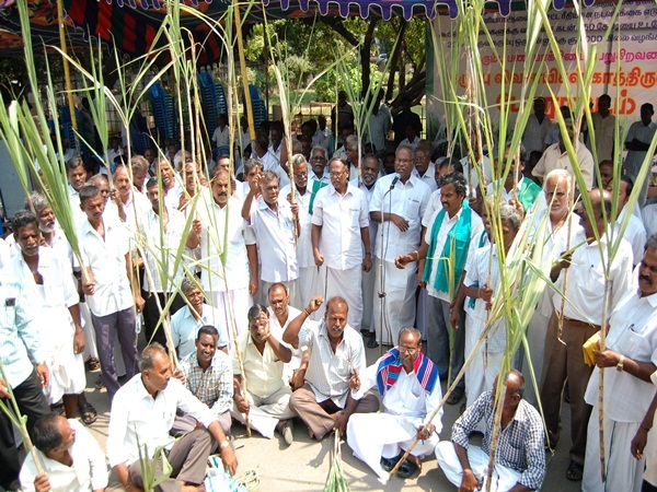 sugarcane farmers arrested in chennai sugarcane farmers arrested in chennai
