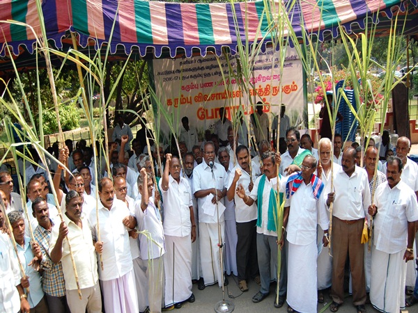 sugarcane farmers arrested in chennai sugarcane farmers arrested in chennai