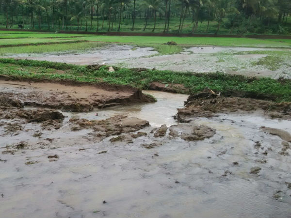 மின்சாரம் துண்டிப்பு