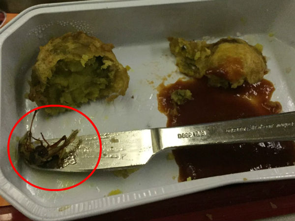 Cockroach Found in meal served for passenger on Air India flight. Cockroach Found in meal served for passenger on Air India flight.