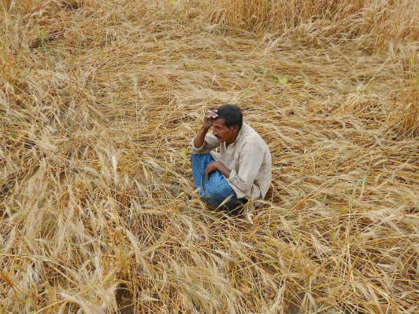 Farmer death continues over drought Farmer death continues over drought