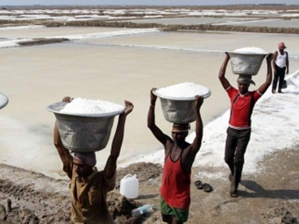 Salt price rise rumours comes to Tiruvallur Salt price rise rumours comes to Tiruvallur