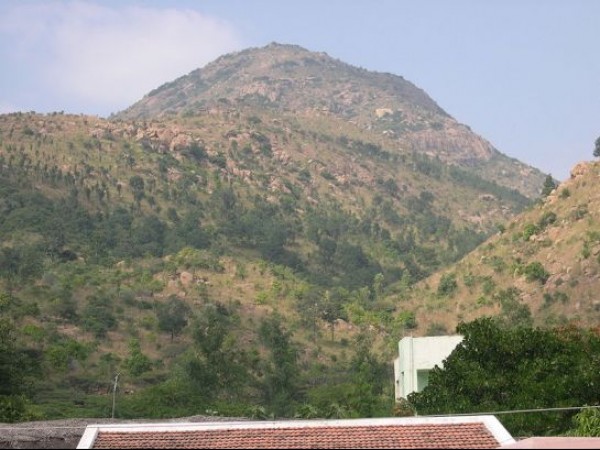 வாகனங்களுக்குத் தடை