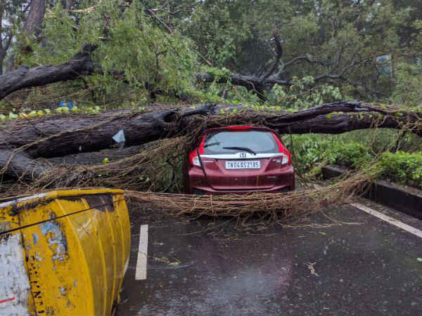 ருத்ரதாண்டவம்...
