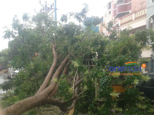 Vardah: Helpline numbers announced Vardah: Helpline numbers announced