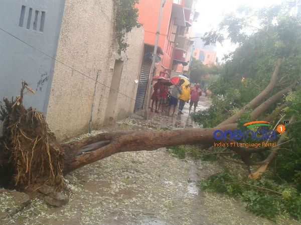 Vardah: Helpline numbers announced Vardah: Helpline numbers announced