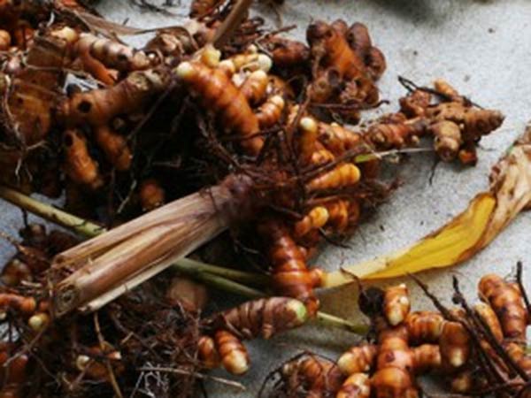 நிவாரணம் தேவை