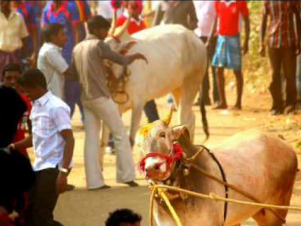 தடியடி- கைது