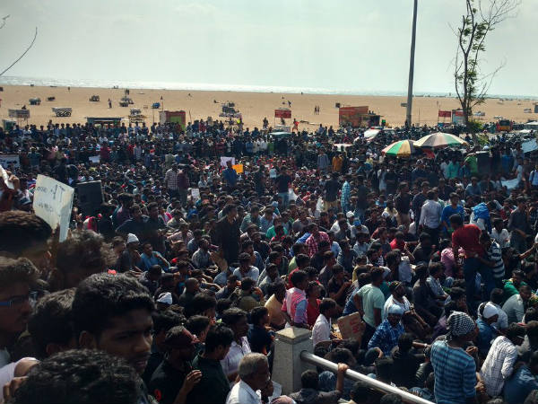 மரபணுவில் ஊறியது