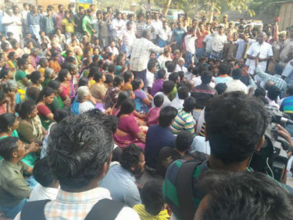Madurai Alanganallur Jallikattu protesters request google jallikattu doodle Madurai Alanganallur Jallikattu protesters request google jallikattu doodle