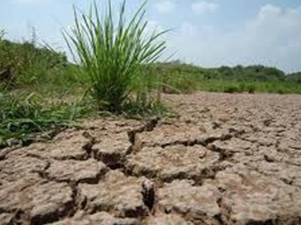 9 Farmers died in tamilnadu 9 Farmers died in tamilnadu