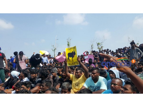 Jallikattu supporters refuse to release by police Jallikattu supporters refuse to release by police