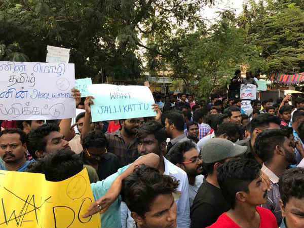 Jallikattu supporters protest in Vilupuram Jallikattu supporters protest in Vilupuram