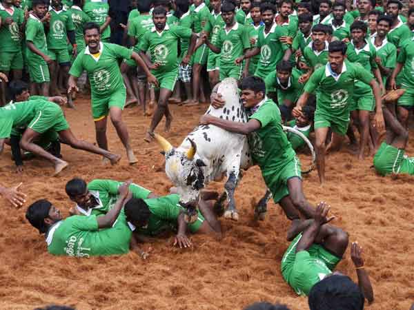 Hindu People's party workers took bath in cow dung opposed to the central government Hindu People's party workers took bath in cow dung opposed to the central government
