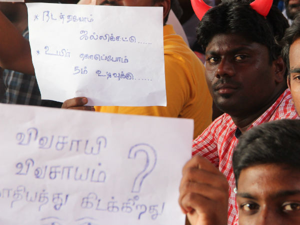 Jallikattu: Tanjore Saraboji collage students stage fasting protest Jallikattu: Tanjore Saraboji collage students stage fasting protest