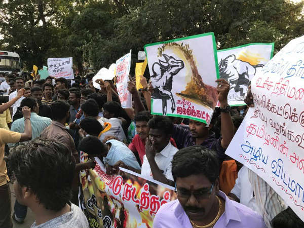 Jallikattu supporters protest in Vilupuram Jallikattu supporters protest in Vilupuram
