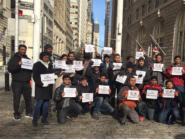 US Tamils supports Jallikkattu and write to PM Modi US Tamils supports Jallikkattu and write to PM Modi