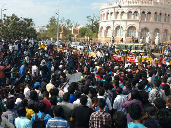 Jallikattu Protesters rejected the call of CM O Panneerselvam to give up the protests Jallikattu Protesters rejected the call of CM O Panneerselvam to give up the protests