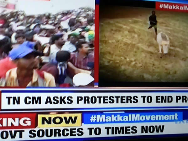 Now, North Indian media say TN protest as People's Movement Now, North Indian media say TN protest as People's Movement