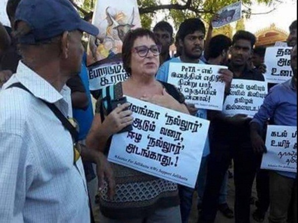 Eelam tamils support TN Protest on Jallikattu Eelam tamils support TN Protest on Jallikattu