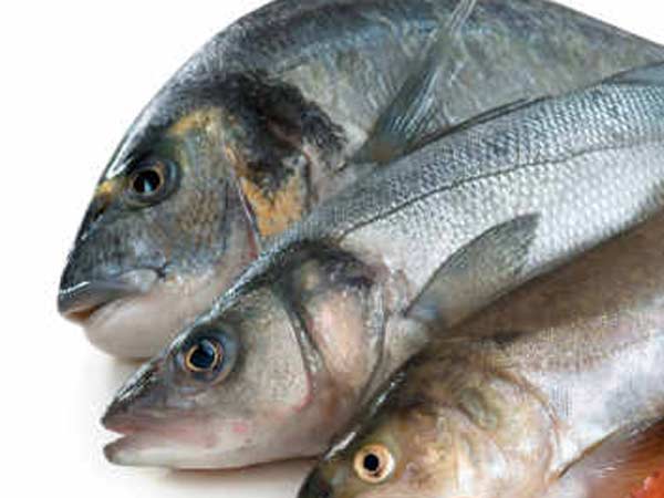 மீன்விற்பனை சரிவு