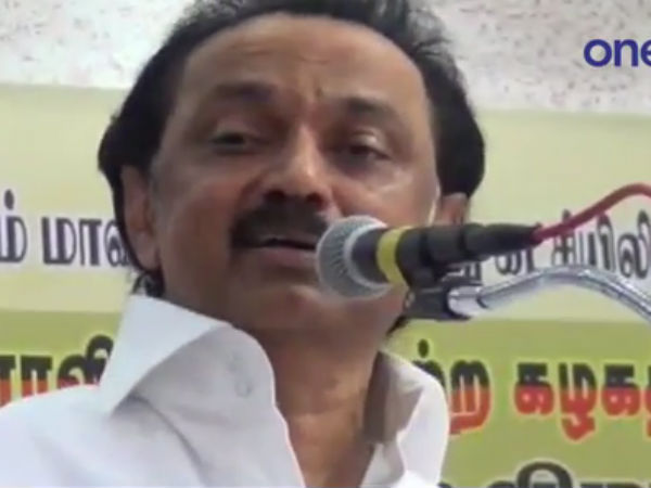 சின்ன மா மரம்