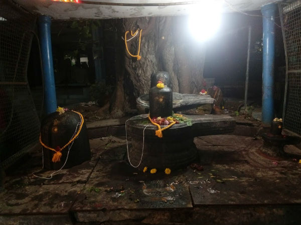 சிவராத்திரி கோலாகலம்