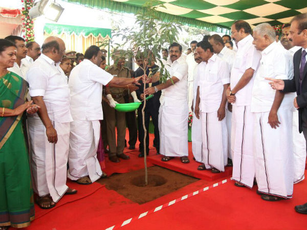 CM launches 69 lakh tree planting scheme on Jayalalithaa birthday CM launches 69 lakh tree planting scheme on Jayalalithaa birthday