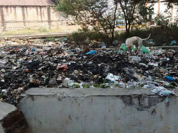 Will Railway authorities stop burning of wastes inside junction? Will Railway authorities stop burning of wastes inside junction?