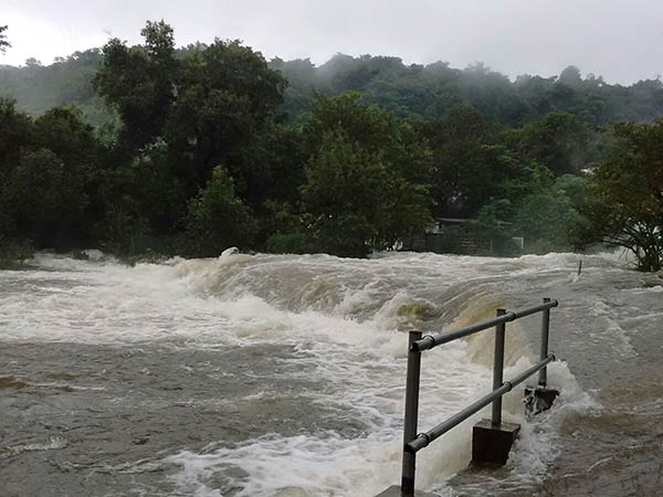Rain in Nellai district, water inflow increased in papanasam dam Rain in Nellai district, water inflow increased in papanasam dam