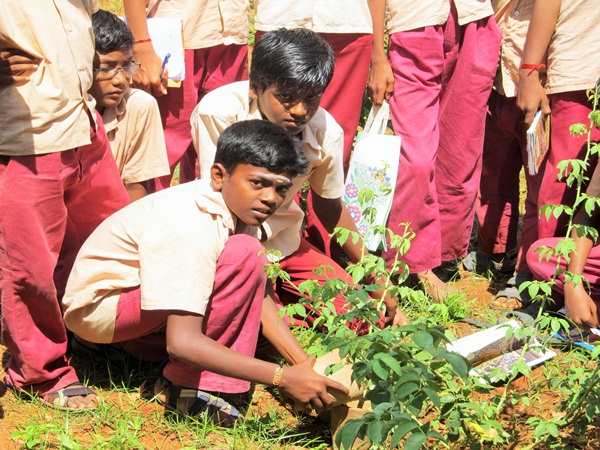 school student's visits Horticulture Farm at Devakottai school student's visits Horticulture Farm at Devakottai