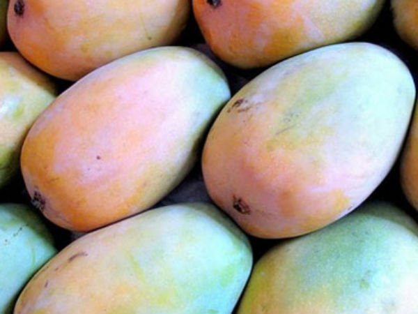 மாம்பழ உற்பத்தியாளர்கள் பாதிப்பு