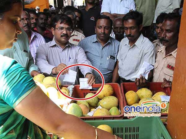 மாம்பழ ஏற்றுமதிக்கு தடை