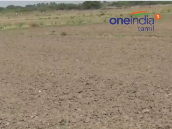 Bank insulted, farmer committed suicide Bank insulted, farmer committed suicide