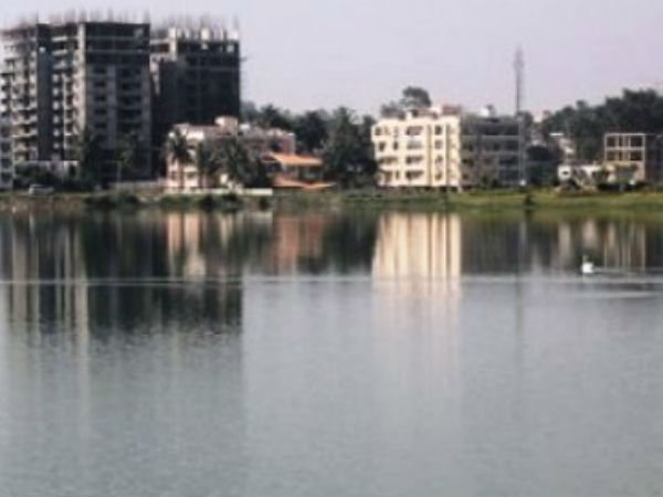 A single young man cleaned 3 lakes in Bengaluru A single young man cleaned 3 lakes in Bengaluru