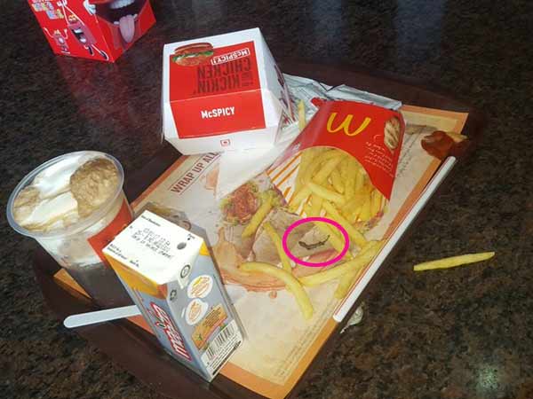 McDonald’s serves dead lizard with French fries to a pregnant woman McDonald’s serves dead lizard with French fries to a pregnant woman
