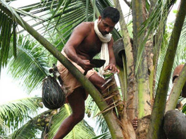 மதுவை தேடி அலையும் குடிமகன்கள்