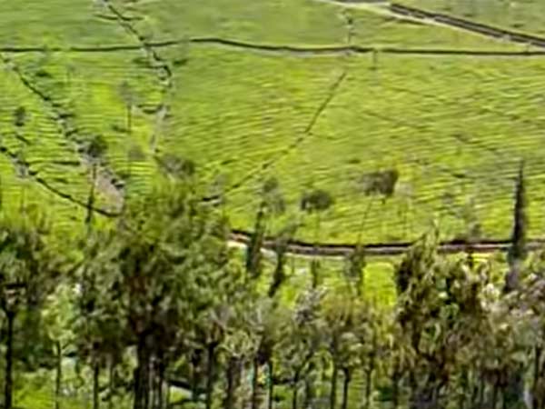 இயற்கை எழில் கொஞ்சும் ...