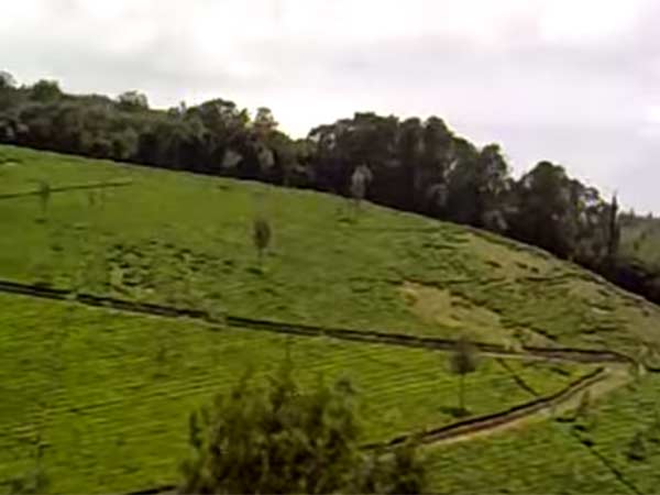 புகார் எடுபடவில்லை