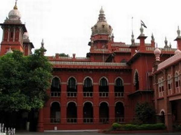 High Court interim ban to removal of karuvelam trees in tn High Court interim ban to removal of karuvelam trees in tn