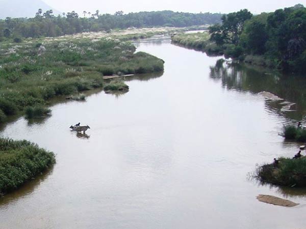 No water for companies from may 1st: Nellai collector No water for companies from may 1st: Nellai collector