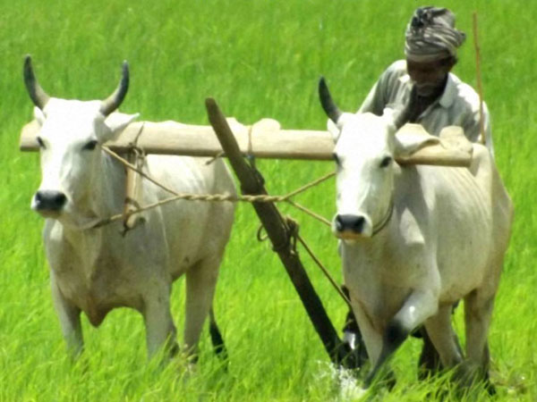 மண்வளச் சோதனை
