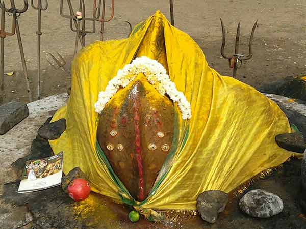 வடக்குவாச்செல்லி அம்மன்