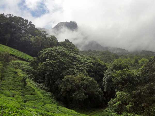 வடகிழக்கிலும் தொடக்கம்