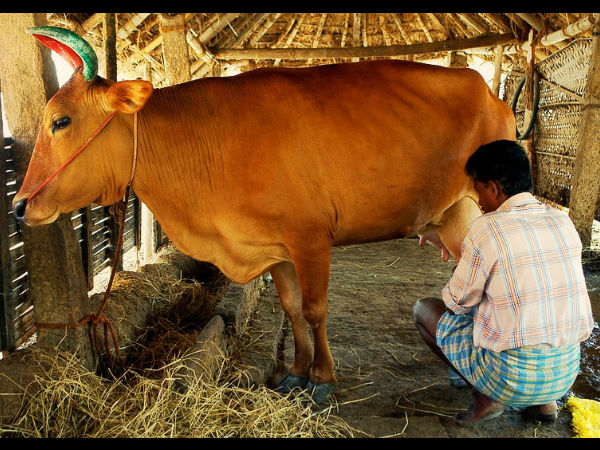 காஸ்மிக் கதிர்கள்