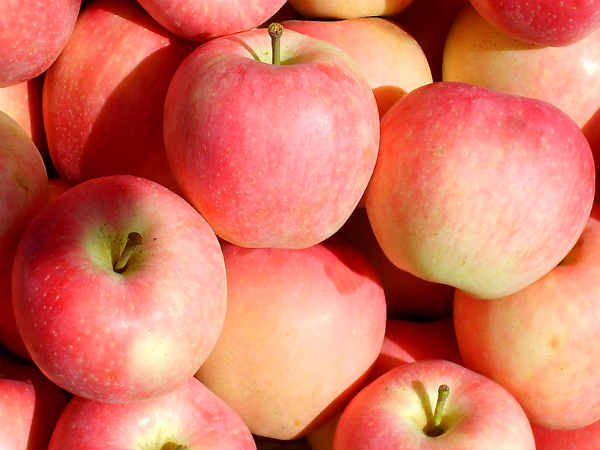 India bans Chinese apple imports India bans Chinese apple imports