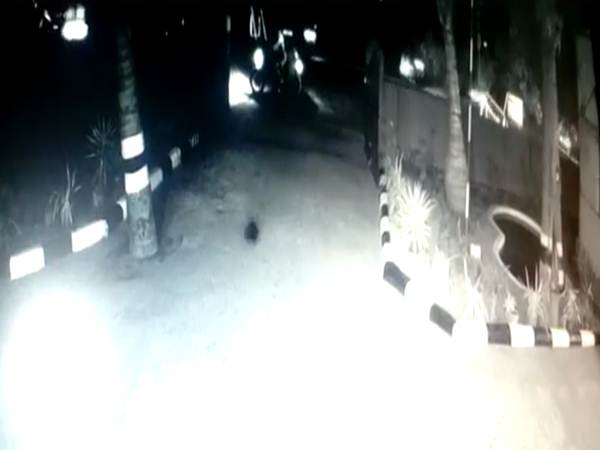 A beheaded youth's body was in front of police station A beheaded youth's body was in front of police station