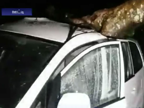 In Ooty Mettupalayam yesterday night heavy rain In Ooty Mettupalayam yesterday night heavy rain