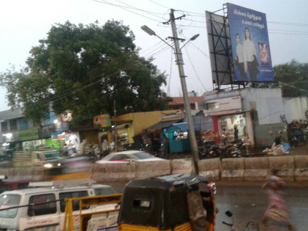 For heavy windblow tree falls down and a woman died in Sivakasi For heavy windblow tree falls down and a woman died in Sivakasi