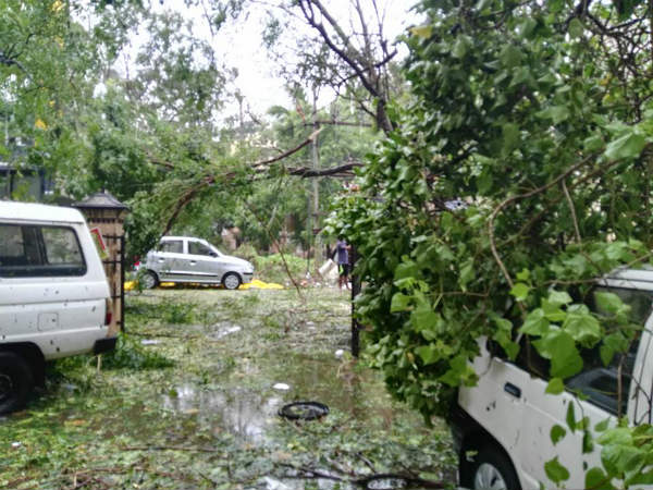 Heavy rain thunder storm in Kunoor, Over 10 trees fell down Heavy rain thunder storm in Kunoor, Over 10 trees fell down